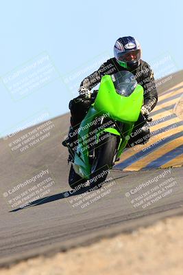 media/Feb-12-2022-SoCal Trackdays (Sat) [[3b21b94a56]]/Turn 12 (140pm)/